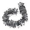 Natural Quartz Crystal Points Beads Strands G-K181-B08-2