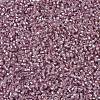 MIYUKI Delica Beads SEED-J020-DB1434-3
