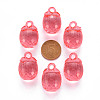 Autumn Theme Transparent Acrylic Pendants TACR-T024-04B-910-4