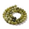 Natural Chinese Southern Jade Beads Strands G-T055-8mm-15-5