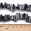 1 Strand Dyed Natural Trochus Shell Beads Strands SSHEL-PA0001-01C-3