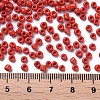 Glass Seed Beads SEED-A010-3mm-45-3