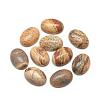 Natural Picture Jasper Cabochons G-R415-8x10-42-1