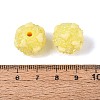 Opaque Acrylic & Transparent Resin Rhinestone Beads SACR-Q005-02A-05-3