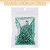 Picasso Baking Paint Glass Seed Beads SEED-TA0001-62G-8
