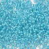6/0 Transparent Glass Seed Beads SEED-F003-03A-10-3