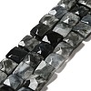Natural Eagle Eye Stone Beads Strands G-G980-12-1