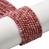 Natural Rhodonite Beads Strands G-G0005-B01-2