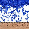Baking Paint Glass Seed Beads X-SEED-S042-05B-77-4