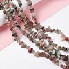 Natural Agate Chip Beads Strands G-G905-04-2