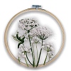 DIY Transparent Fabric Embroidery Kits DIY-K032-78A-1