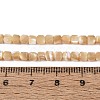 Natural Trochid Shell/Trochus Shell Beads Strands BSHE-T014-52B-01-4