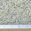 MIYUKI Round Rocailles Beads SEED-G007-RR0491-4