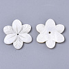 Natural Freshwater Shell Beads SHEL-N026-22-2