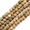 Frosted Natural Picture Jasper Round Bead Strands G-M064-6mm-05-1