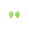 Transparent Acrylic Charms TACR-T012-04-2
