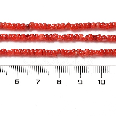Natural Freshwater Shell Beads Strands SHEL-P017-01B-07-1