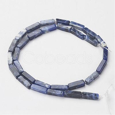 Natural Sodalite Beads Strands G-G968-D02-1