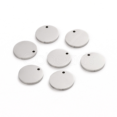 Tarnish Resistant 304 Stainless Steel Charms STAS-I141-03A-P-1