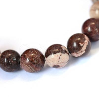 Natural Zebra Jasper Round Bead Strands G-E334-6mm-12-1