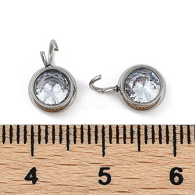 304 Stainless Steel Micro Pave Cubic Zirconia Charms STAS-Z094-02P-01-1