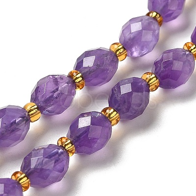 Natural Amethyst Beads Strands G-H297-C09-01-1