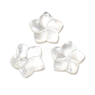 Natural White Shell Mother of Pearl Shell Pendants X-SSHEL-G014-60-1