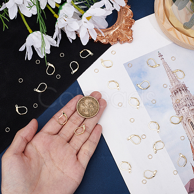 20Pcs Brass Leverback Earring Findings KK-BBC0023-86-1