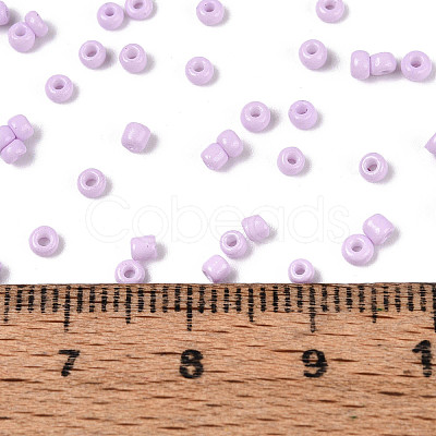 12/0 Baking Paint Glass Round Seed Beads SEED-S036-01A-08-1