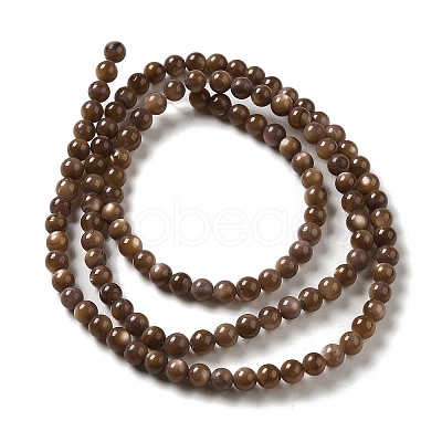 Natural Freshwater Shell Beads Strands SHEL-H003-03D-1