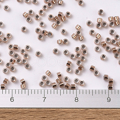 MIYUKI Delica Beads X-SEED-J020-DB0037-1