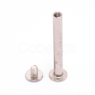Carbon Steel Snap Rivet Butt Screw STAS-WH0022-24M-P-1