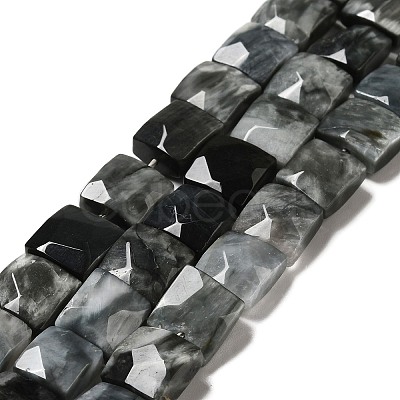 Natural Eagle Eye Stone Beads Strands G-G980-12-1