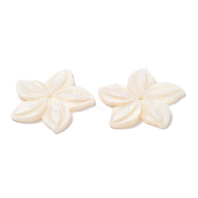 Natural Freshwater Shell Beads SHEL-F007-18-1