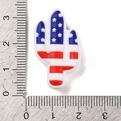 Independence Day Silicone Focal Beads LS-SIL-R147-01B-1