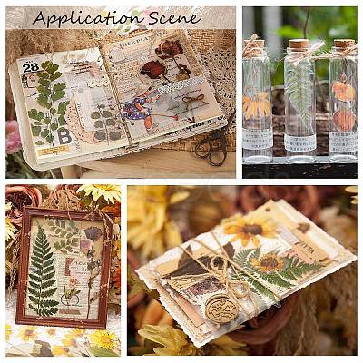 6Pcs Plant PET Adhesive Waterproof Stickers DIY-K074-01B-1