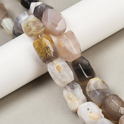 Natural Botswana Agate Beads Strands G-F796-C03-01-1