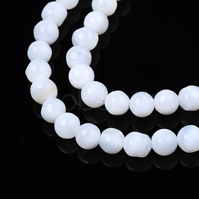 Natural Freshwater Shell Beads Strands SHEL-N003-24-1