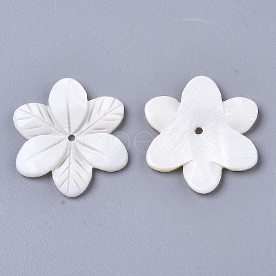 Natural Freshwater Shell Beads SHEL-N026-22-1
