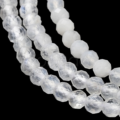 Natural Rainbow Moonstone Beads Strands G-J400-E12-01-1
