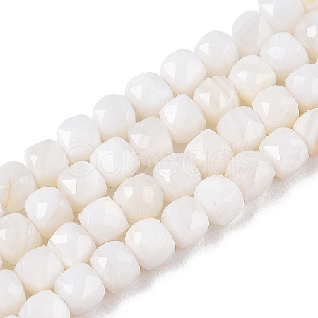 Natural White Shell Beads Strands SSHEL-N038-60-1