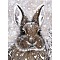 5D DIY Diamond Painting Animals Canvas Kits, with Resin Rhinestones, Diamond Sticky Pen, Tray Plate and Glue Clay, Rabbit Pattern, 30x20x0.02cm