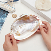 Natural Shell Ring Holder DJEW-WH0001-36-3