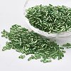 Glass Bugle Beads SEED-E001-12mm-27-1