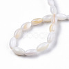 Natural Freshwater Shell Beads Strands SHEL-N026-212-4