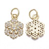 Brass Micro Pave Cubic Zirconia Charms LS-KK-K244-07G-2