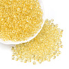 3/0 Baking Paint Glass Fringe Seed Beads SEED-A034-04A-3