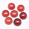Natural Carnelian Cabochons G-P215-15-8mm-2