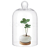 Glass Dome Cover ODIS-WH0078-20-1