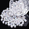 Glass Seed Beads SEED-S018-08-1